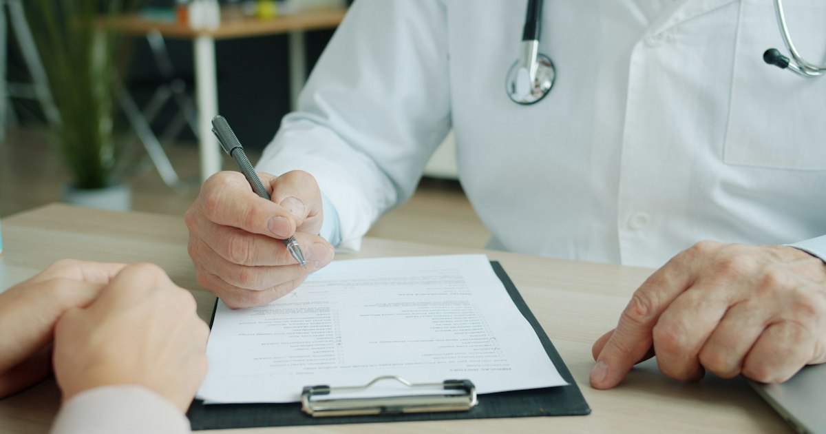 White blood cells: what the test shows and why it matters for athletes